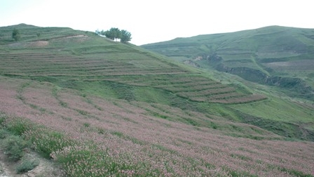 China: Restoring Grasslands and Improving...